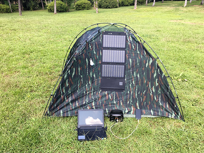 Plants: image 1 0f 4 thumb